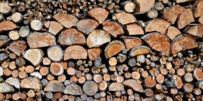Von der Auswahl bis zur Lieferung: Alles über den Kauf von Brennholz