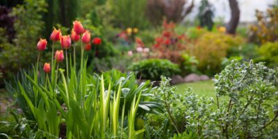 Wie du deinen Garten optimal gestaltest: Eine Einkaufsliste
