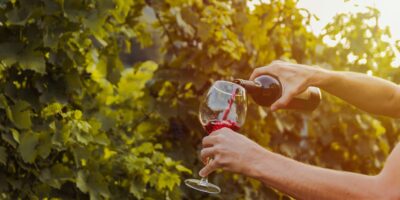 Weine der Region Bordeaux: Ein Paradies für Weinkenner und Feinschmecker