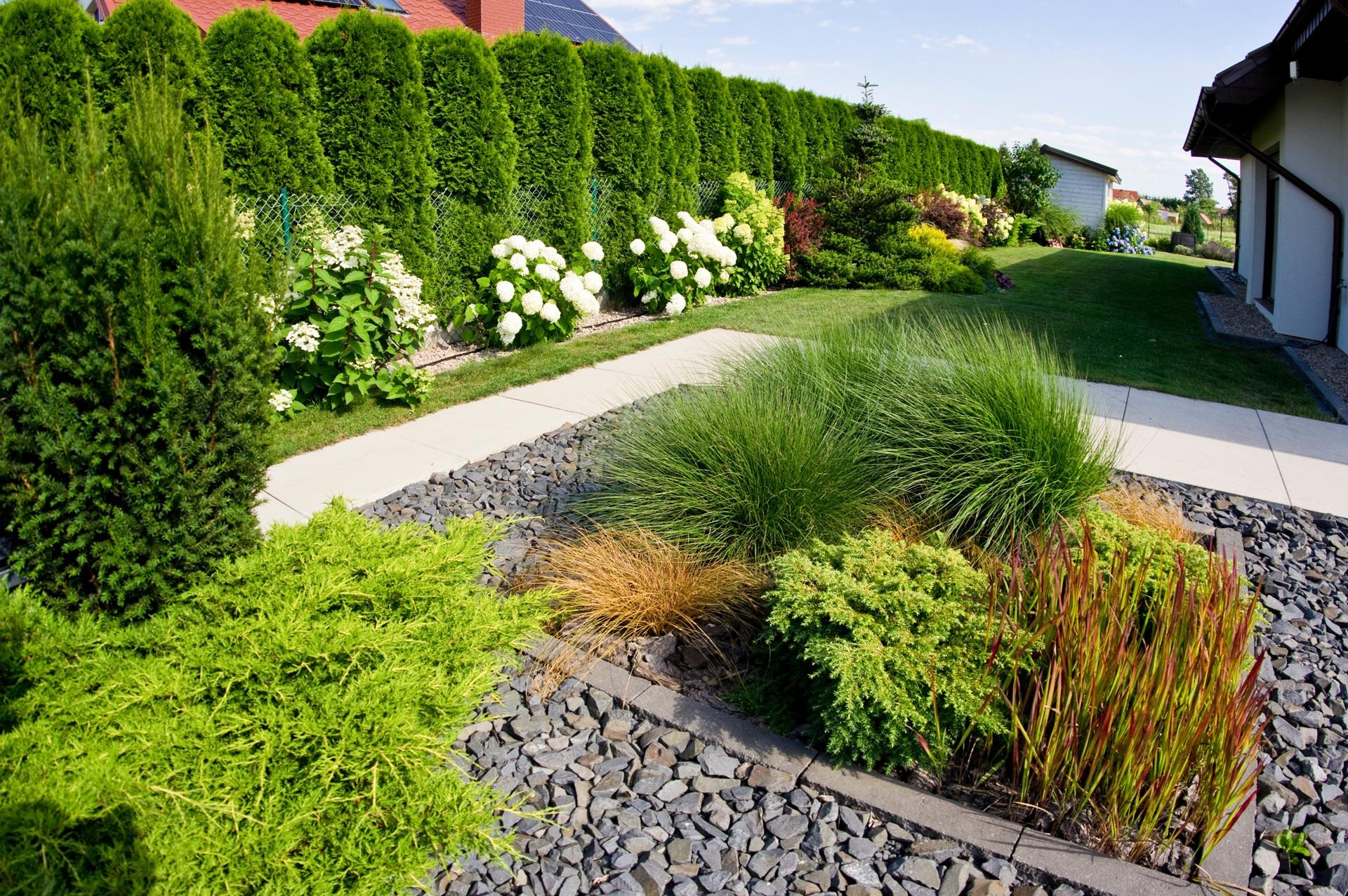 Moderner Gartenweg mit Ziergruen | Beckenrandsteine