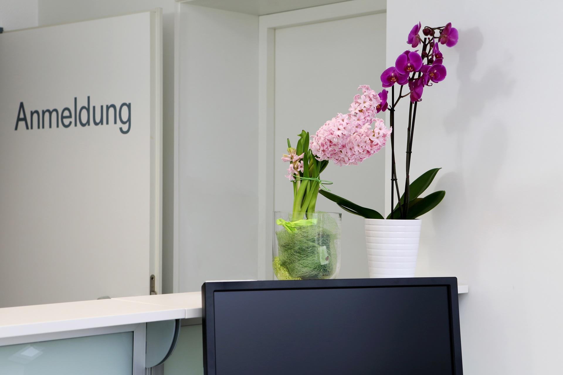Blumen auf Empfangstresen vor Anmeldung | Therapieliege

