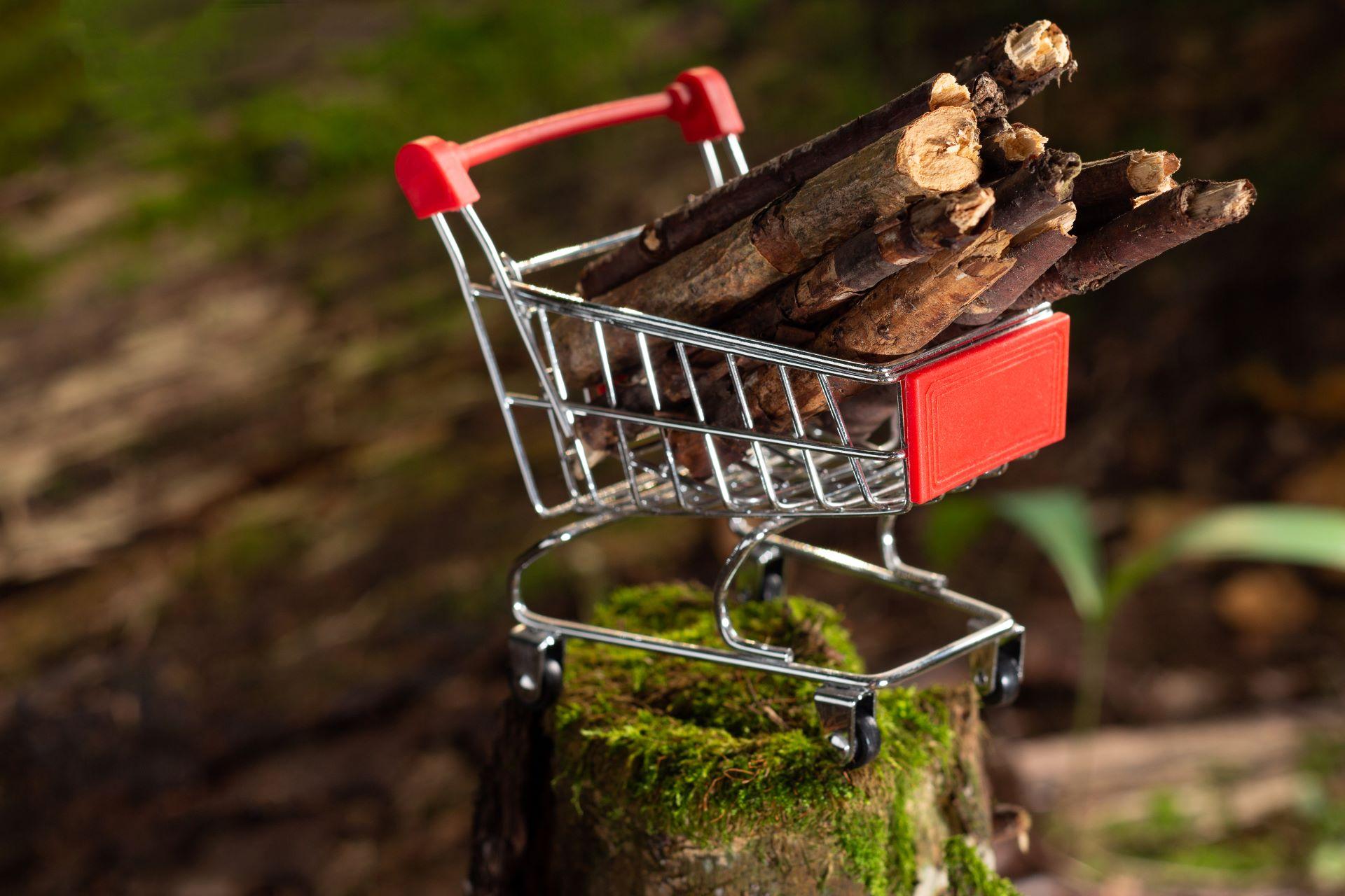 Miniatur-Einkaufswagen mit Brennholz
